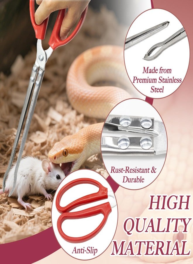 Niuohoy 2 Pcs Snake Feeding Tongs 15 Inch Extra Long Stainless Steel Reptile Feeding Tongs, Curved Mouth & Straight Mouth for Ball Python, Fish Aquariums, Reptiles Snakes, Tank Accessories Terrarium Supplies - Image 3